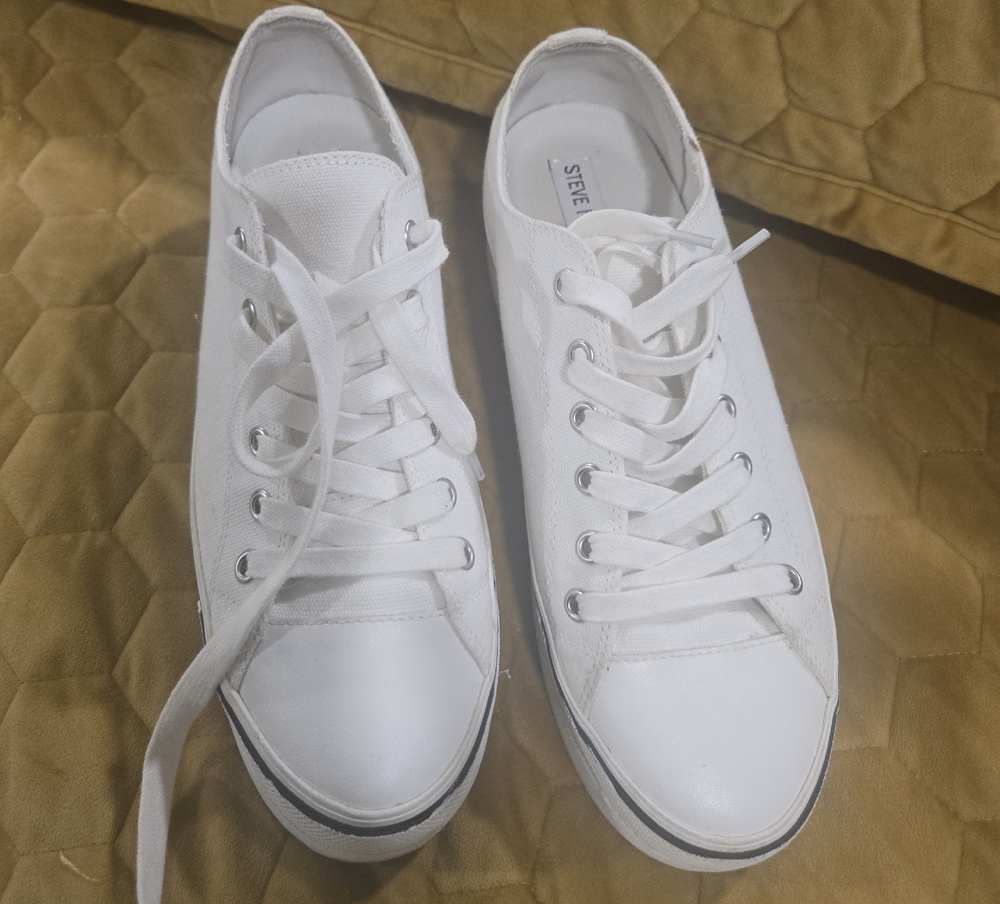 Steve Madden Classic White Sneakers
